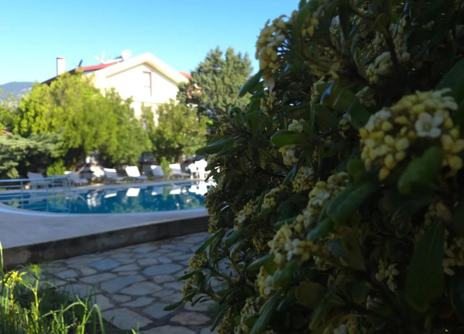 Angels Garden Dalyan Otel